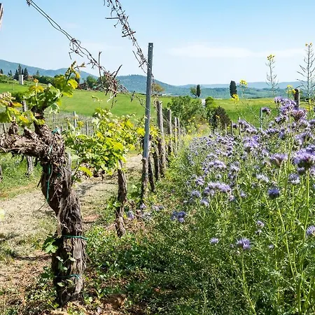 Tenuta Di Mensanello