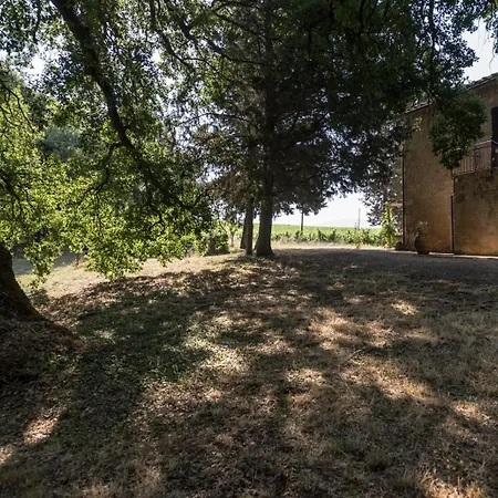 Tenuta Di Mensanello Bauernhof Colle di Val d'Elsa